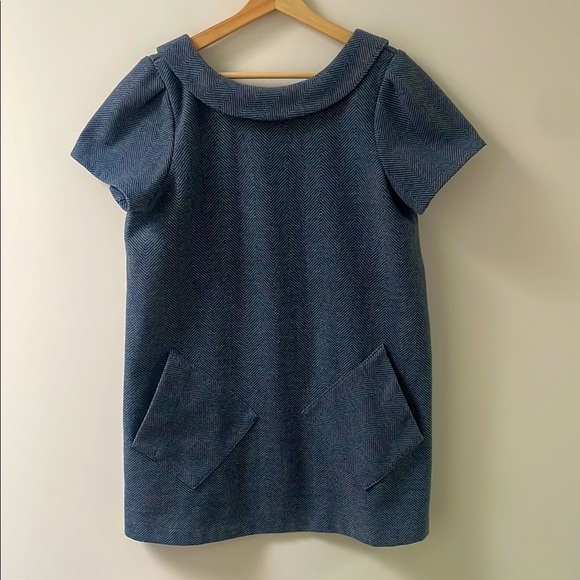 Birds of North America Millerbird dress 12 blue herringbone twill shortsleeve - Picture 1 of 13